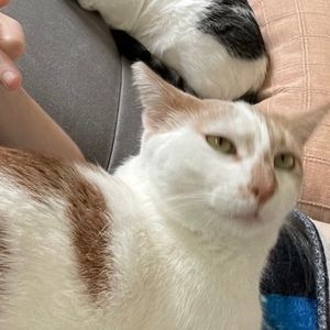 Meet your Posher, Max